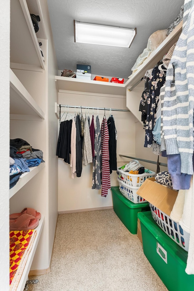 spacious closet with carpet