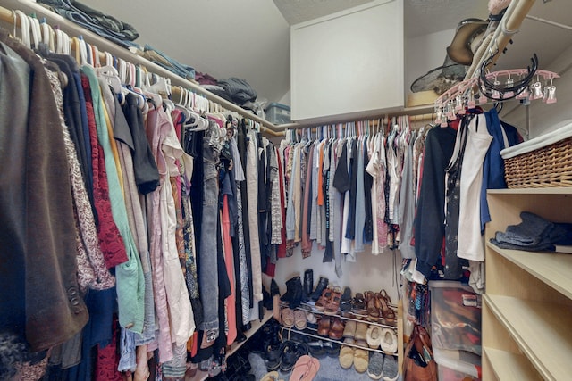 view of spacious closet