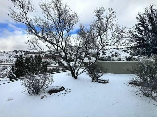 view of yard covered in snow