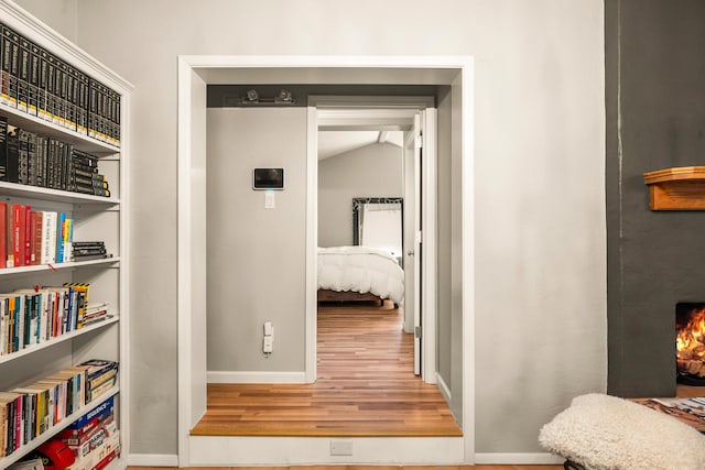 hallway featuring wood-type flooring