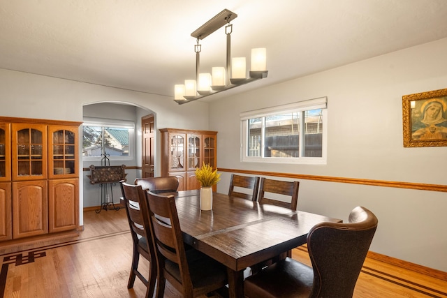 dining room with a wealth of natural light and light hardwood / wood-style floors