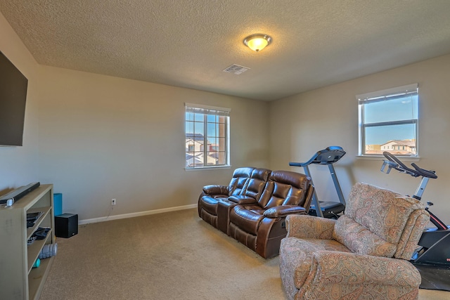 carpeted living room featuring a wealth of natural light and a textured ceiling