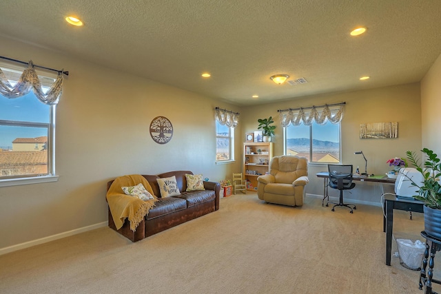 office space with carpet flooring and a textured ceiling