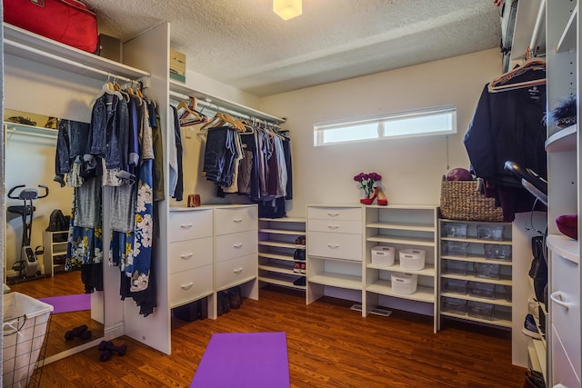 walk in closet with dark hardwood / wood-style floors