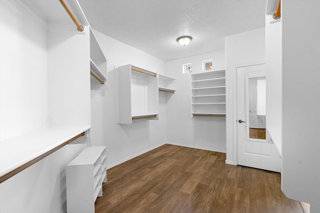 walk in closet with dark hardwood / wood-style floors