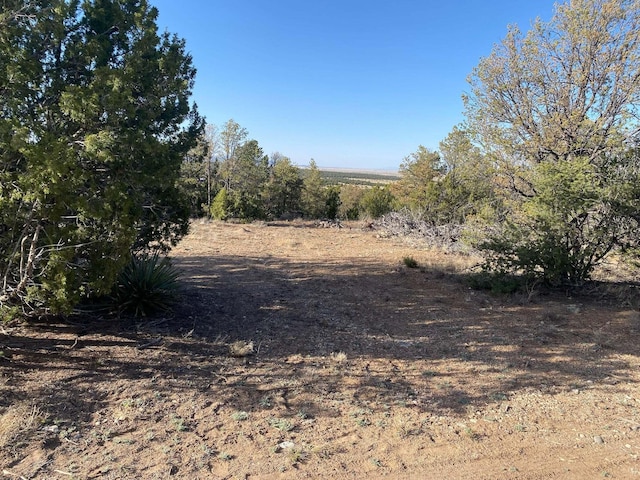 Listing photo 2 for TRACT1 Country Park Rd, Moriarty NM 87035