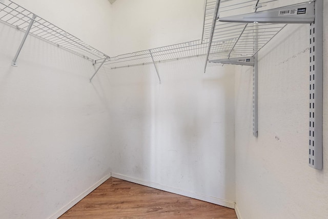 spacious closet with wood-type flooring