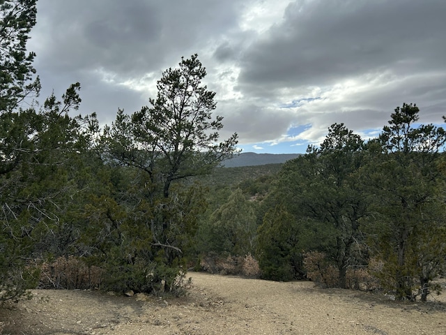 25 Lost Valley Loop, Cedar Crest, NM 87008