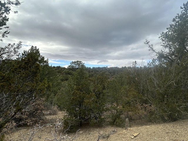 25 Lost Valley Loop, Cedar Crest, NM 87008