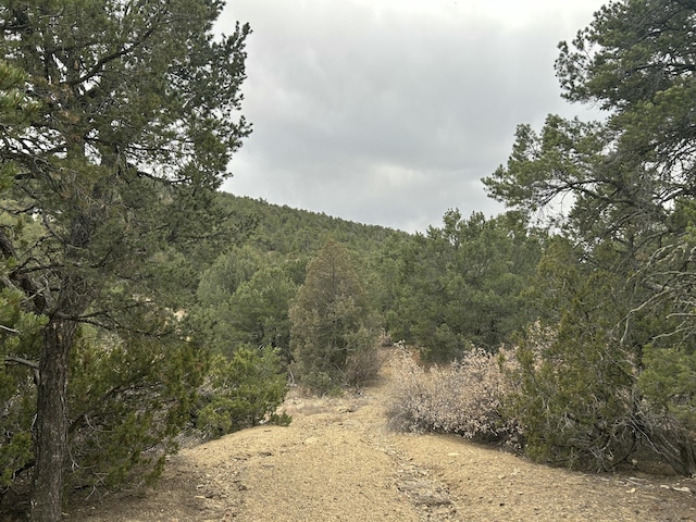 25 Lost Valley Loop, Cedar Crest, NM 87008
