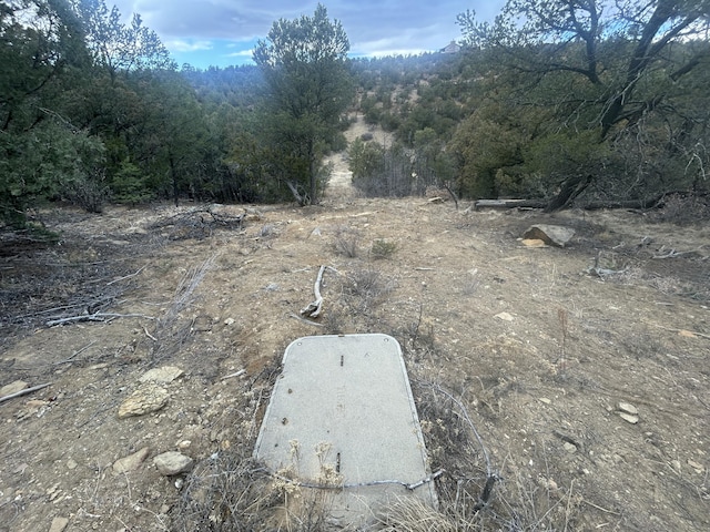 25 Lost Valley Loop, Cedar Crest, NM 87008