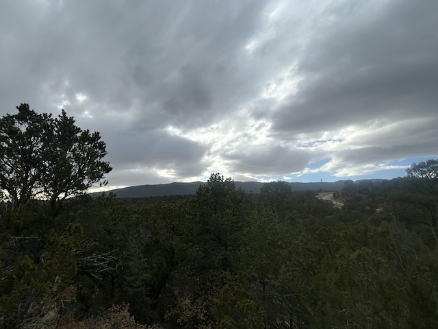 25 Lost Valley Loop, Cedar Crest, NM 87008
