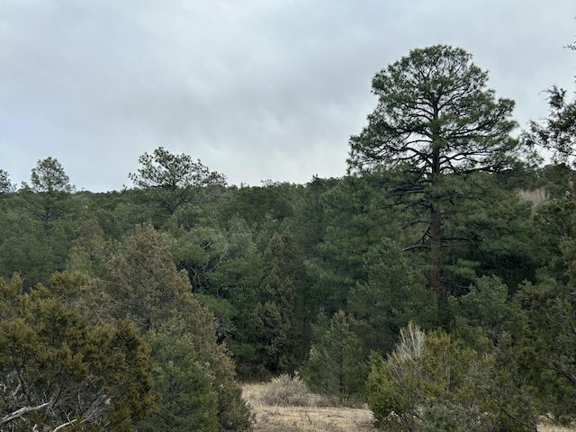 25 Lost Valley Loop, Cedar Crest, NM 87008