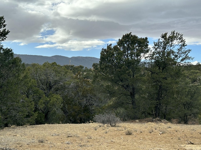 25 Lost Valley Loop, Cedar Crest, NM 87008