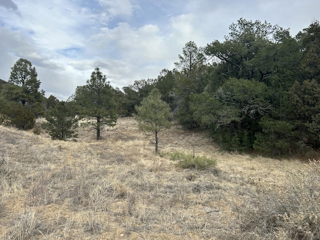 25 Lost Valley Loop, Cedar Crest, NM 87008