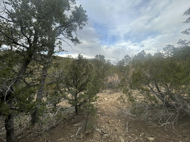 25 Lost Valley Loop, Cedar Crest, NM 87008
