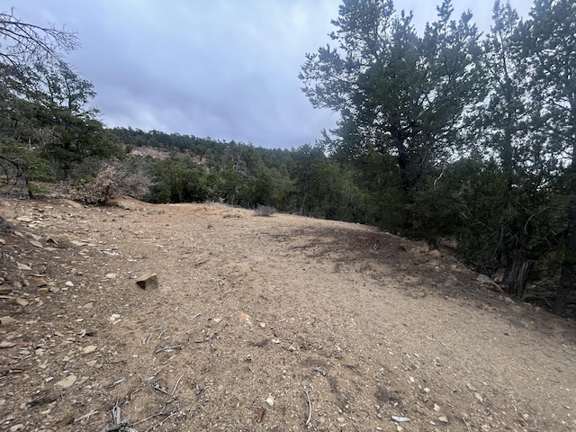25 Lost Valley Loop, Cedar Crest, NM 87008