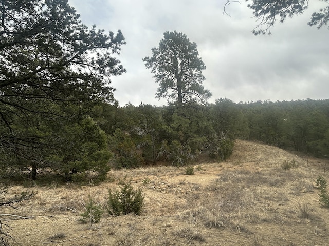 25 Lost Valley Loop, Cedar Crest, NM 87008