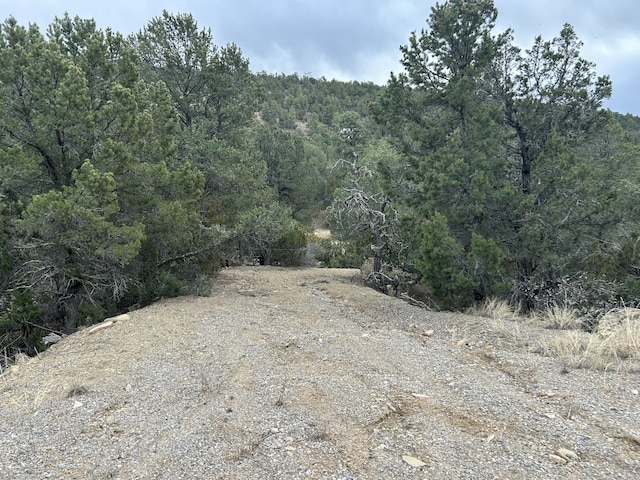 25 Lost Valley Loop, Cedar Crest, NM 87008