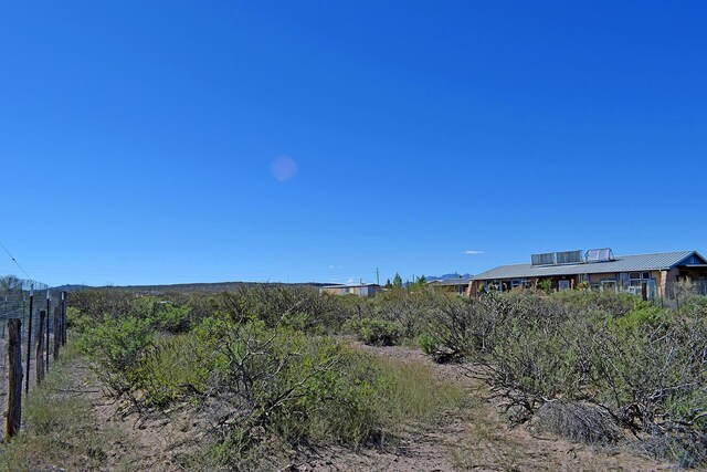 view of local wilderness