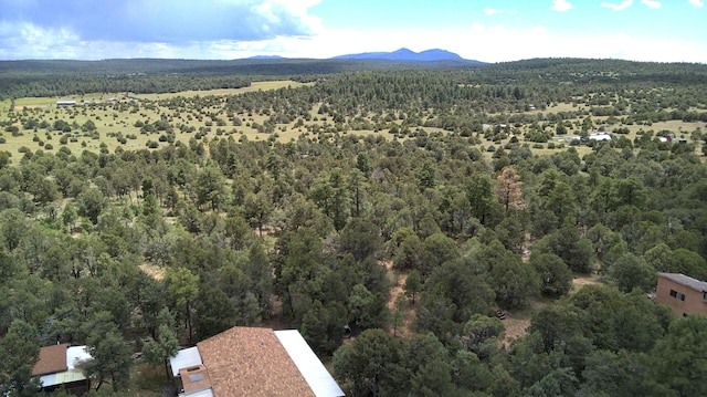 23 Pheasant Dr, Tijeras, NM 87059 - photo 39
