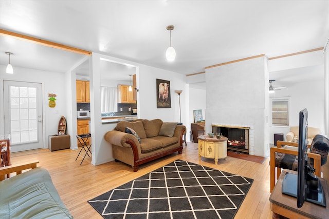 living room with a fireplace and light hardwood / wood-style flooring