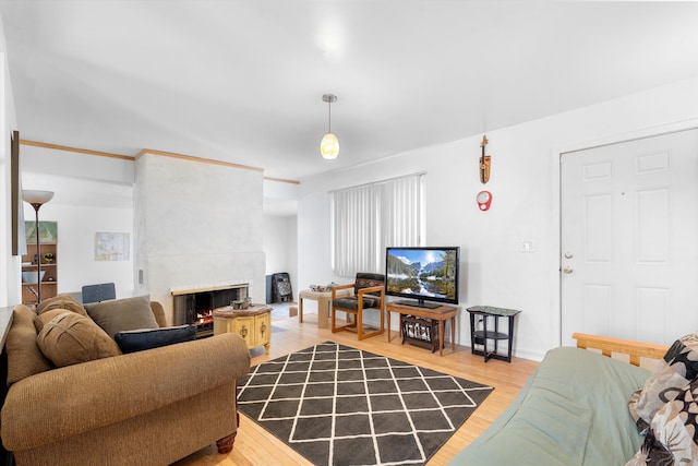 living room featuring a fireplace and light wood-type flooring