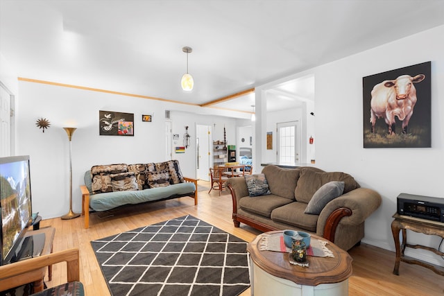 living room with light hardwood / wood-style floors