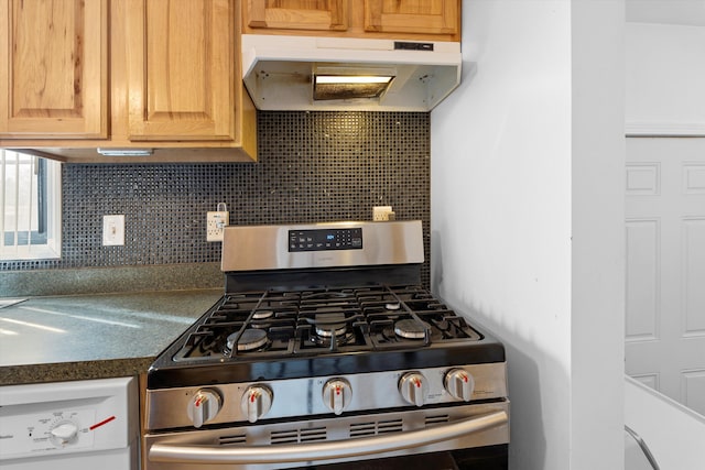 kitchen with backsplash, dishwasher, and stainless steel gas stove