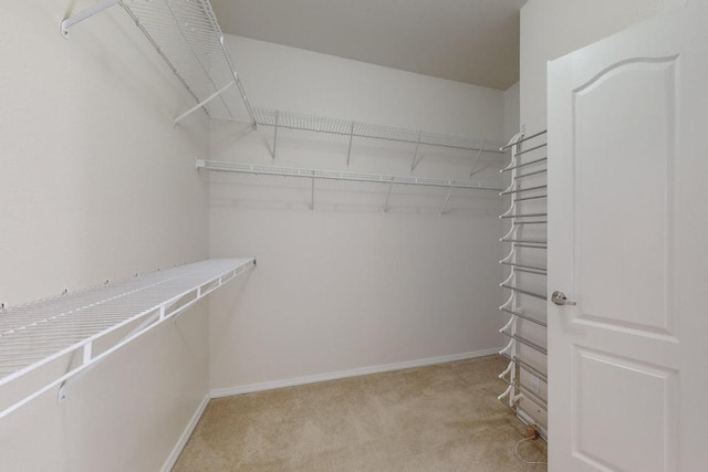 walk in closet featuring light carpet