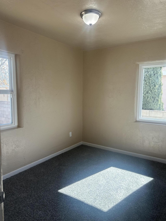 spare room with plenty of natural light, carpet floors, and a textured ceiling