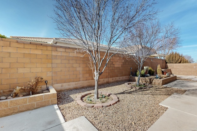 view of yard featuring a patio area