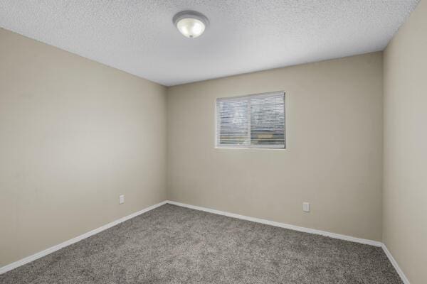 empty room featuring carpet and a textured ceiling