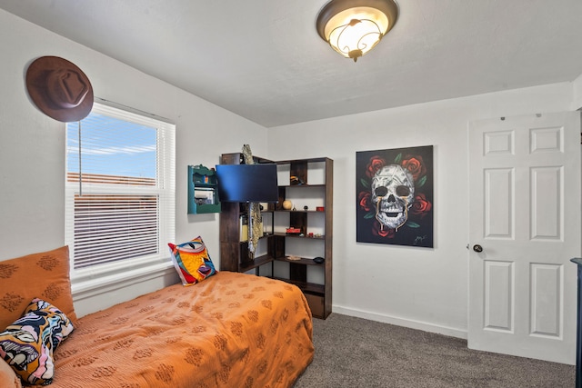 bedroom with dark carpet