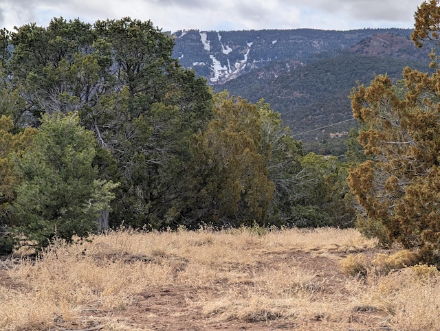 Kings Meadow Rd, Sandia Park NM, 87047 land for sale