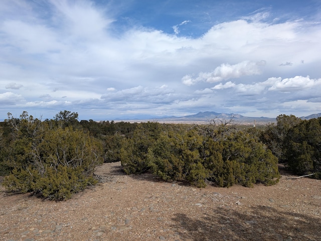 Listing photo 3 for Kings Meadow Rd, Sandia Park NM 87047