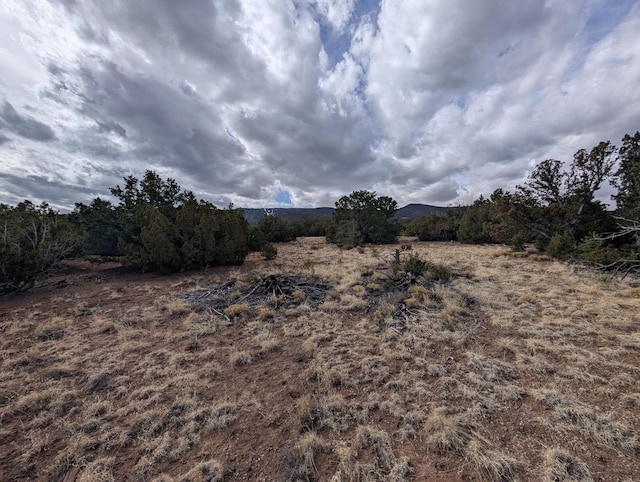 Kings Meadow Rd, Sandia Park NM, 87047 land for sale