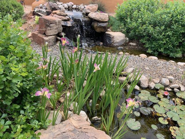 8008 Loma Larga Rd, Corrales, NM 87048 - exterior view of a small pond
