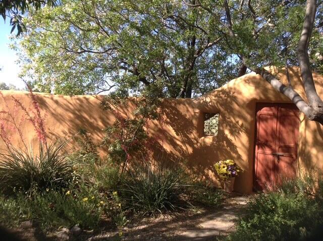 8008 Loma Larga Rd, Corrales, NM 87048 - view of yard