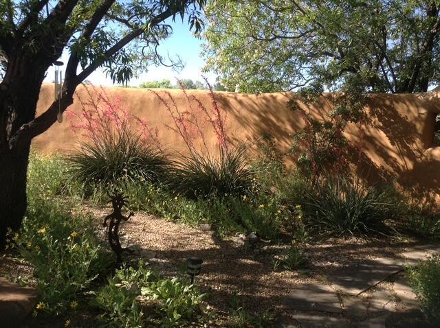 8008 Loma Larga Rd, Corrales, NM 87048 - view of yard