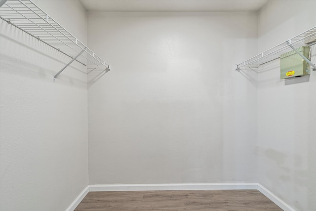 walk in closet featuring wood finished floors