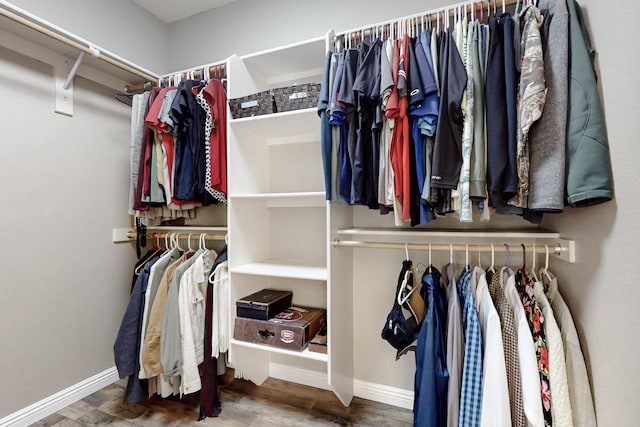 spacious closet featuring wood-type flooring