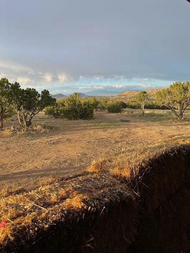 view of landscape with a rural view