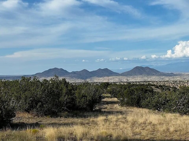 203 Camino Cerro Chato Unit B, Cerrillos NM, 87010 land for sale