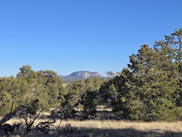 39 Cedar Dr, Pie Town, NM 87827