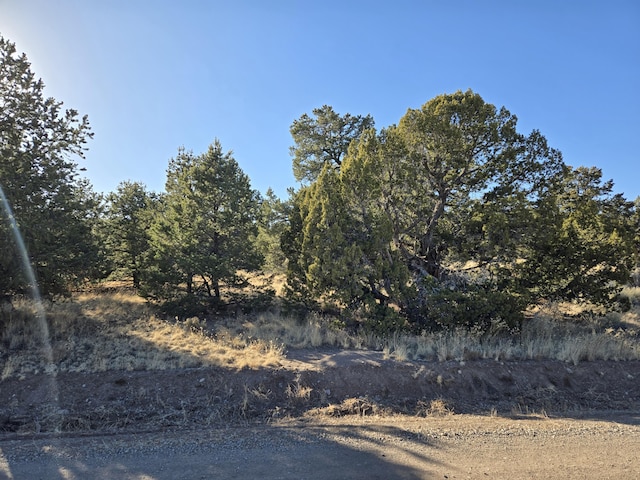39 Cedar Dr, Pie Town, NM 87827