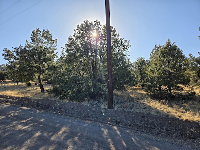 39 Cedar Dr, Pie Town, NM 87827