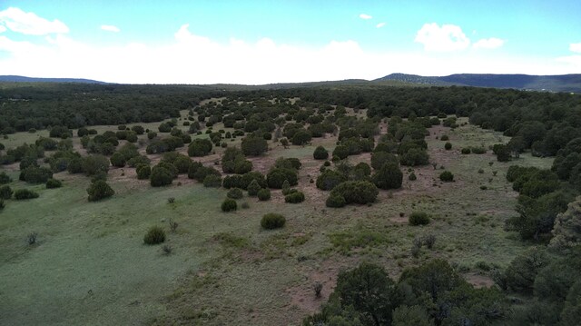 Candido Rd, Tijeras, NM 87059