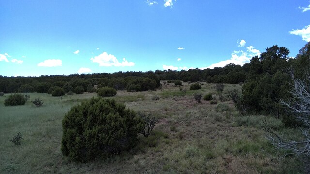 Candido Rd, Tijeras, NM 87059