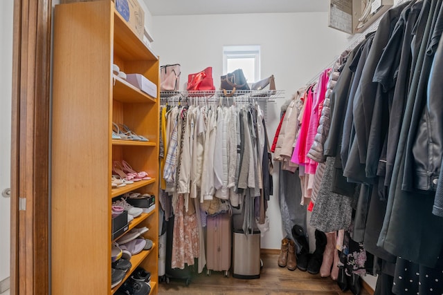 walk in closet featuring hardwood / wood-style floors